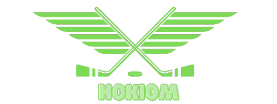  Hokiomy Logo